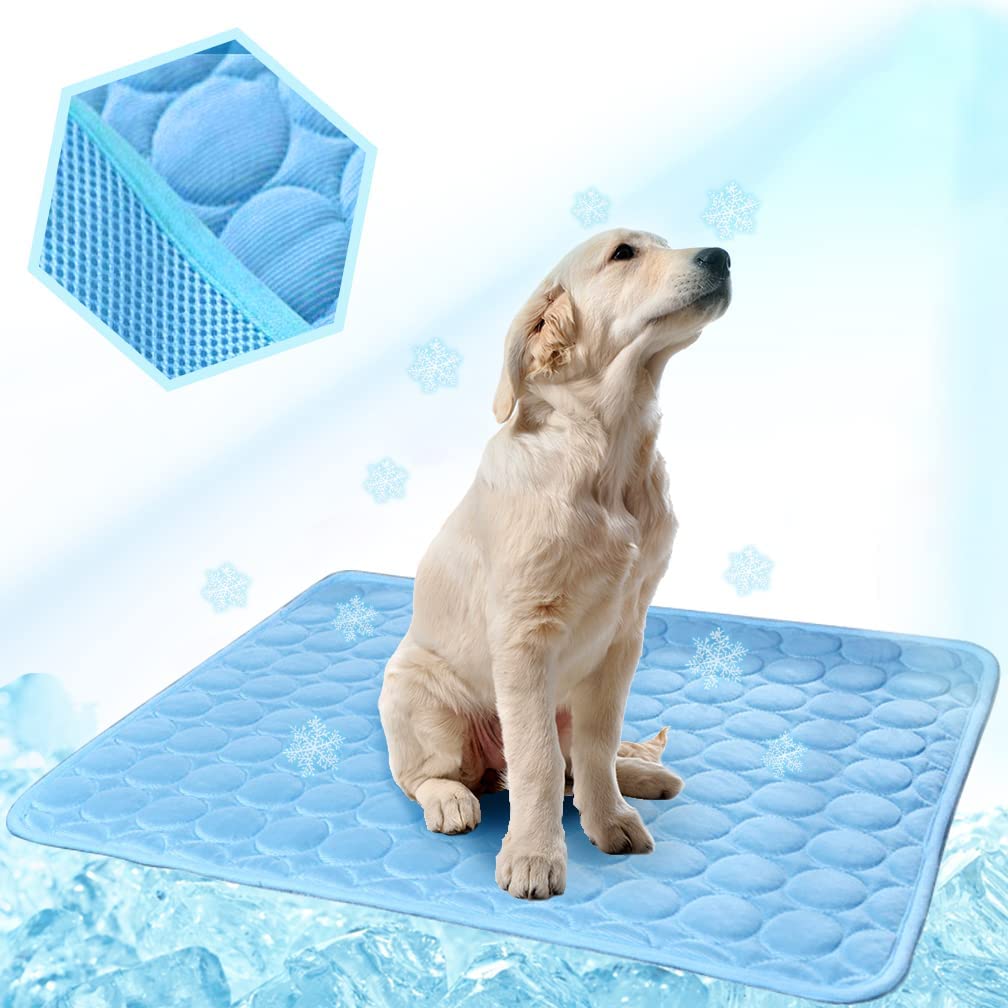 Cool dog beds for summer best sale