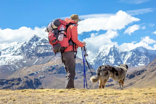 Dog Gear for Hiking 