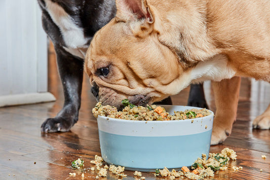 Toxic foods that can harm your dog. 