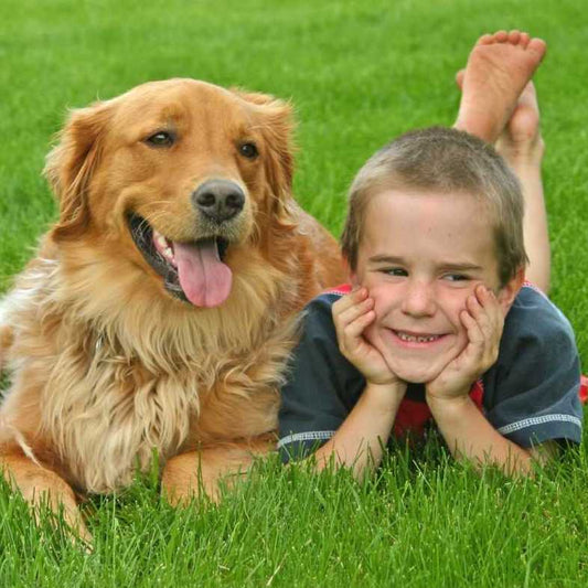 Best Dog Breed for Kids 