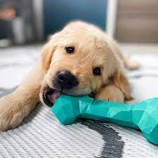 Tips on choosing dog toys