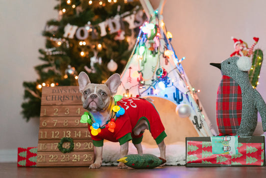 How to Dog Proof Your Christmas Tree 