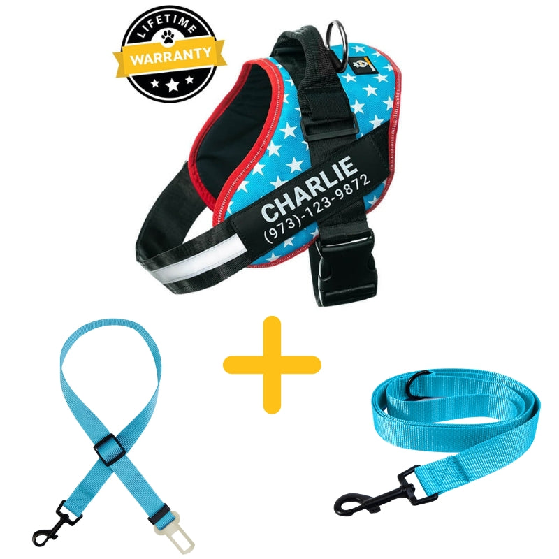 Dog kingdom outlet harness