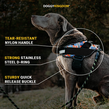 Doggykingdom® NO PULL Harness