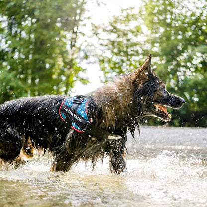 Doggykingdom® NO PULL Harness