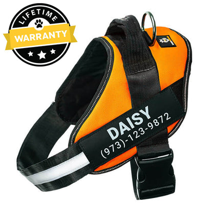 Lifetime Warranty Personalized NO PULL Harness