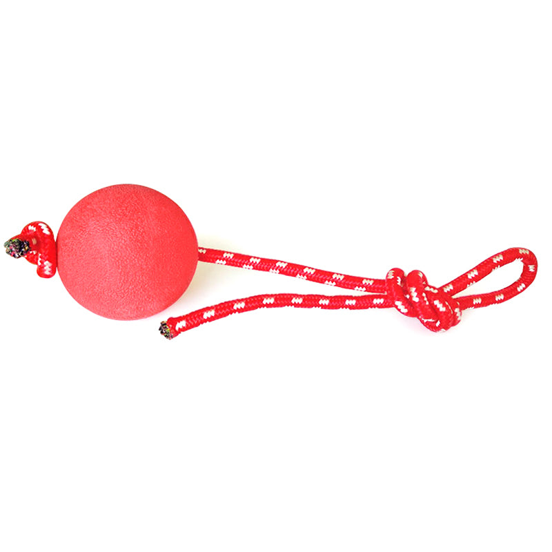 Dog Solid Rubber Ball