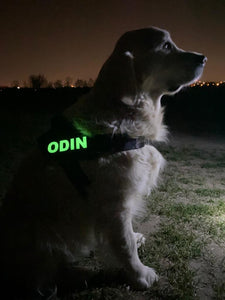 Glow in the Dark Custom Velcro Label / Patches for Dog Harness Dogg – Doggykingdom