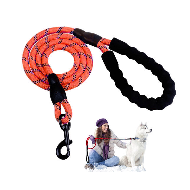 Boston Red Sox Reflective Nylon Dog Leash - HoundAbout